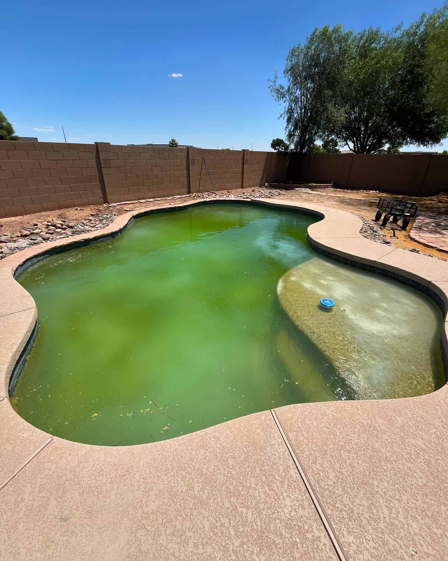 Green Pool Cleanup / Algae Treatment image