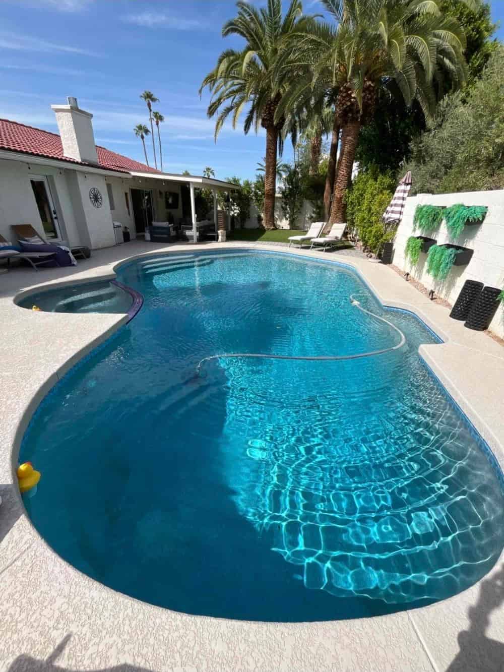 Pool Drain & Chlorine Wash image