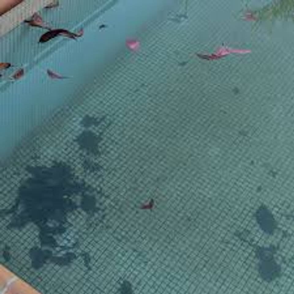 Blog post How Monsoon Storms Affect Residential Pools and the Additional Cleaning Time Required image