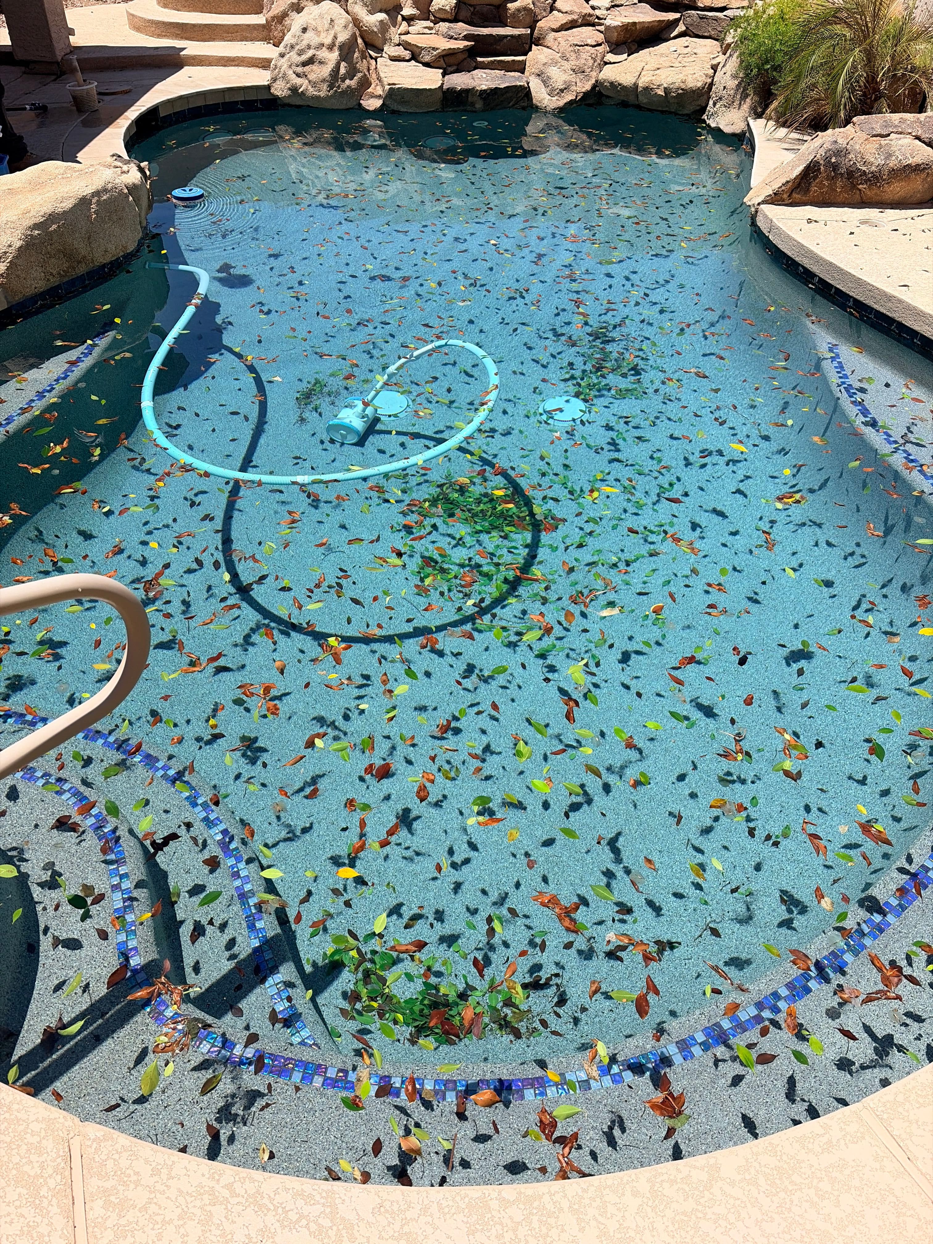 Project Storm Debris Cleanup That Saved This Pool's Water Quality image