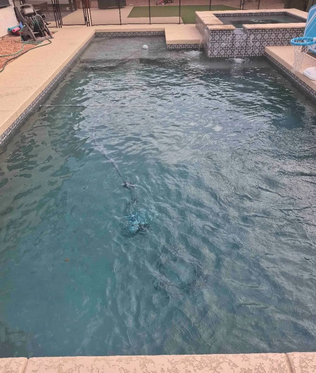 Project Weekly Pool Service Keeping North Phoenix Water Crystal Clear image
