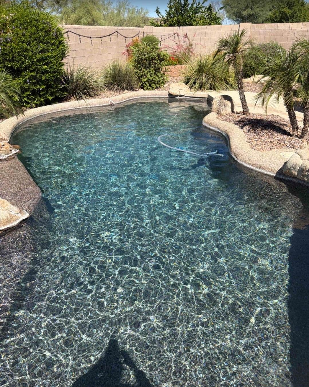 Project Crystal Clear Pools Serviced Across Peoria and Phoenix image