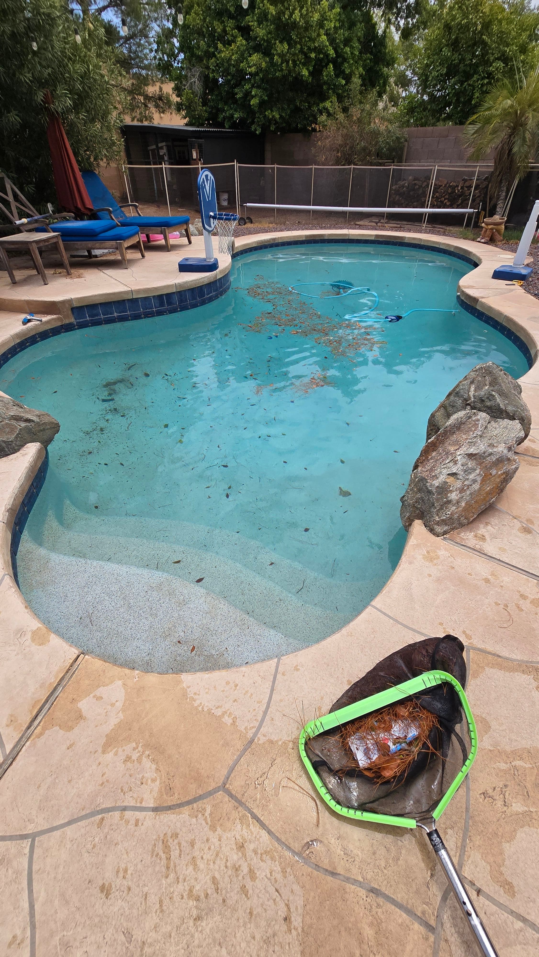 Project Storm Debris Cleanup That Gets Your Pool Swim-Ready Fast image