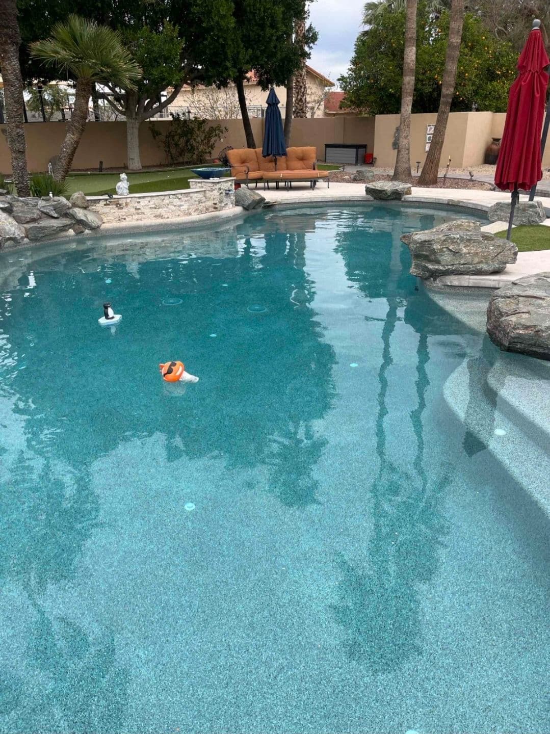 Project Crystal Clear Pool Maintenance Success image