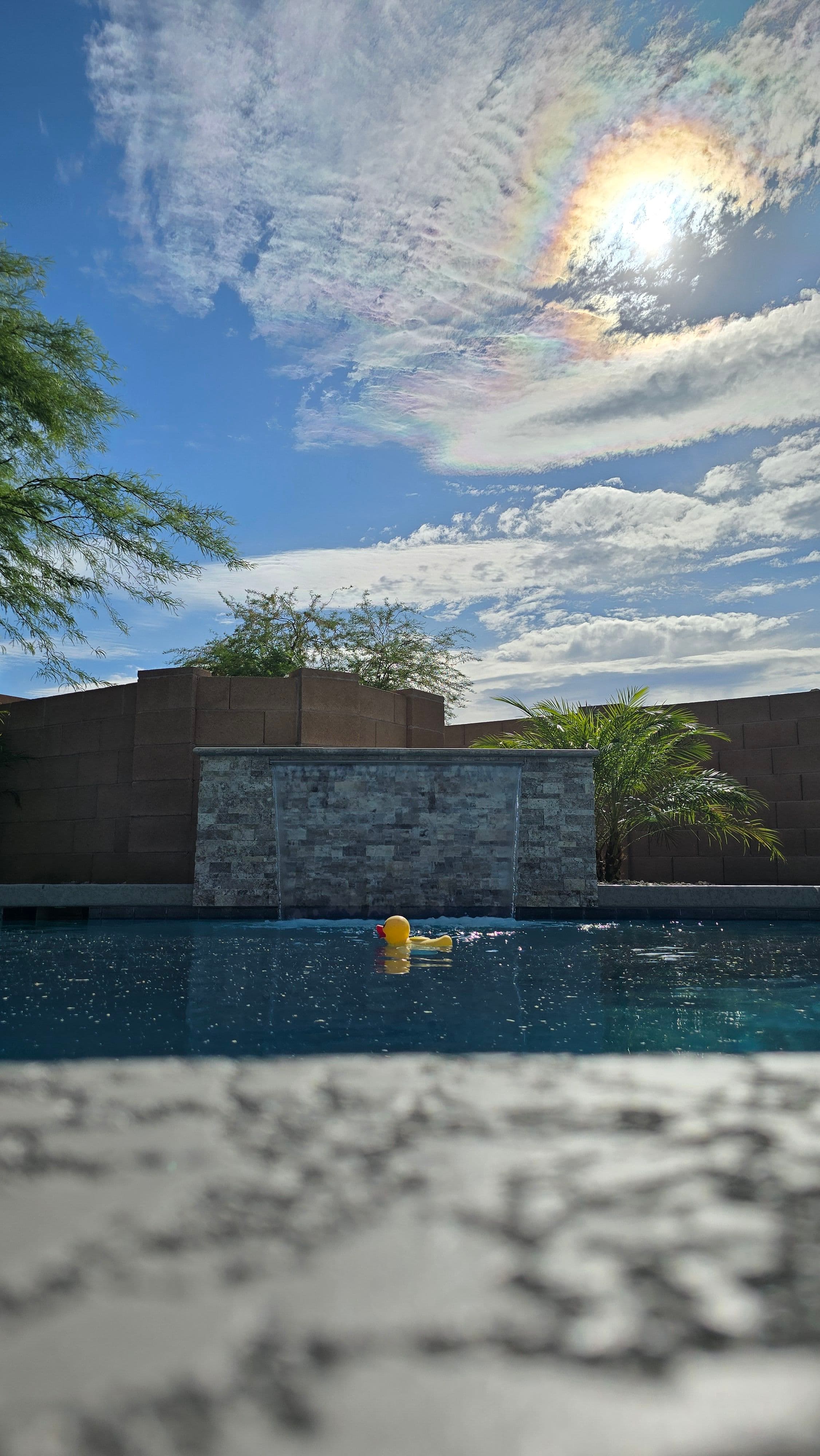 Project New Pool Start-Up Done Right - Ready for Every Moment image