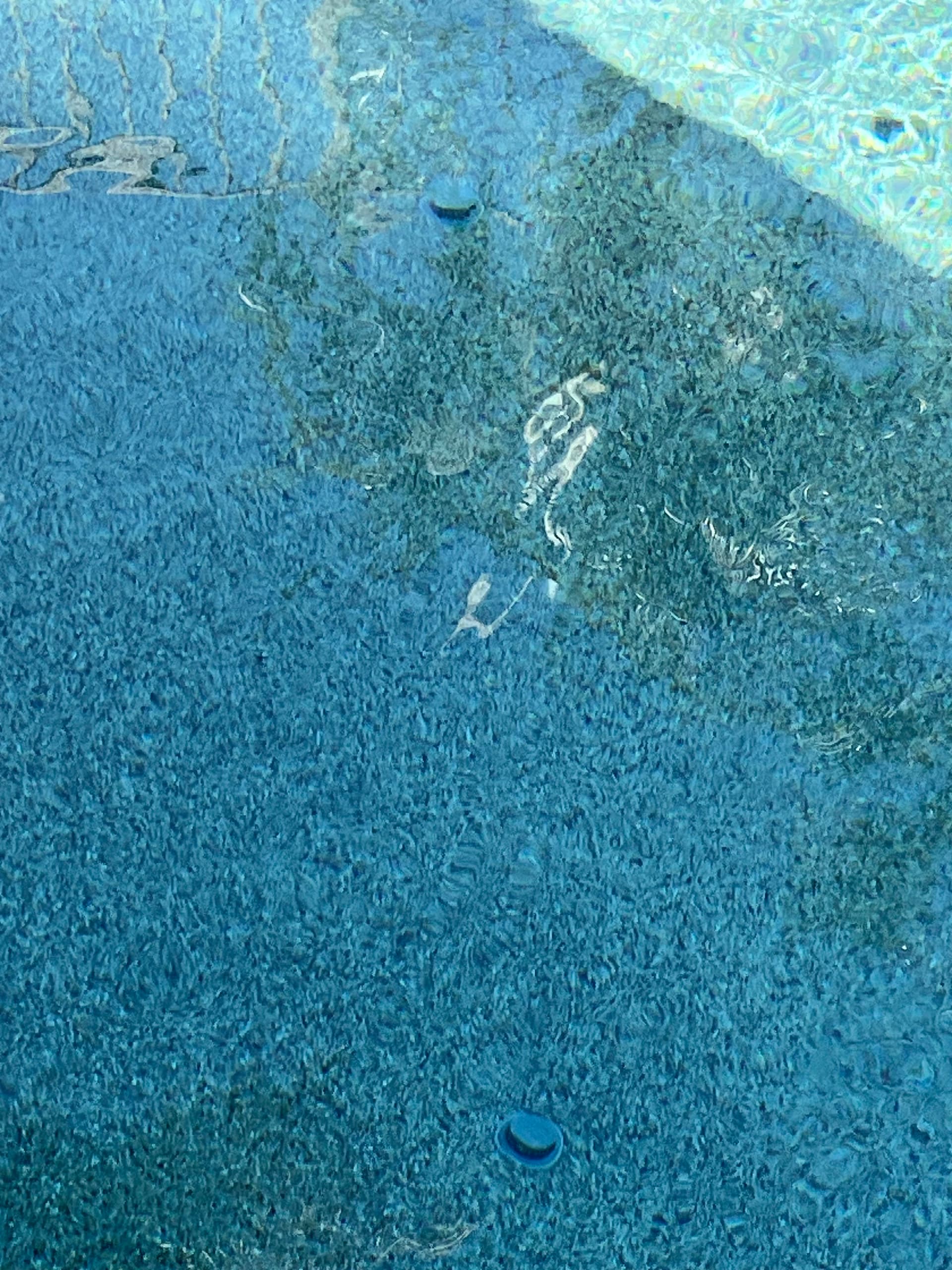 Gallery photos for Pool System Maintenance and Care in Peoria: Image #2