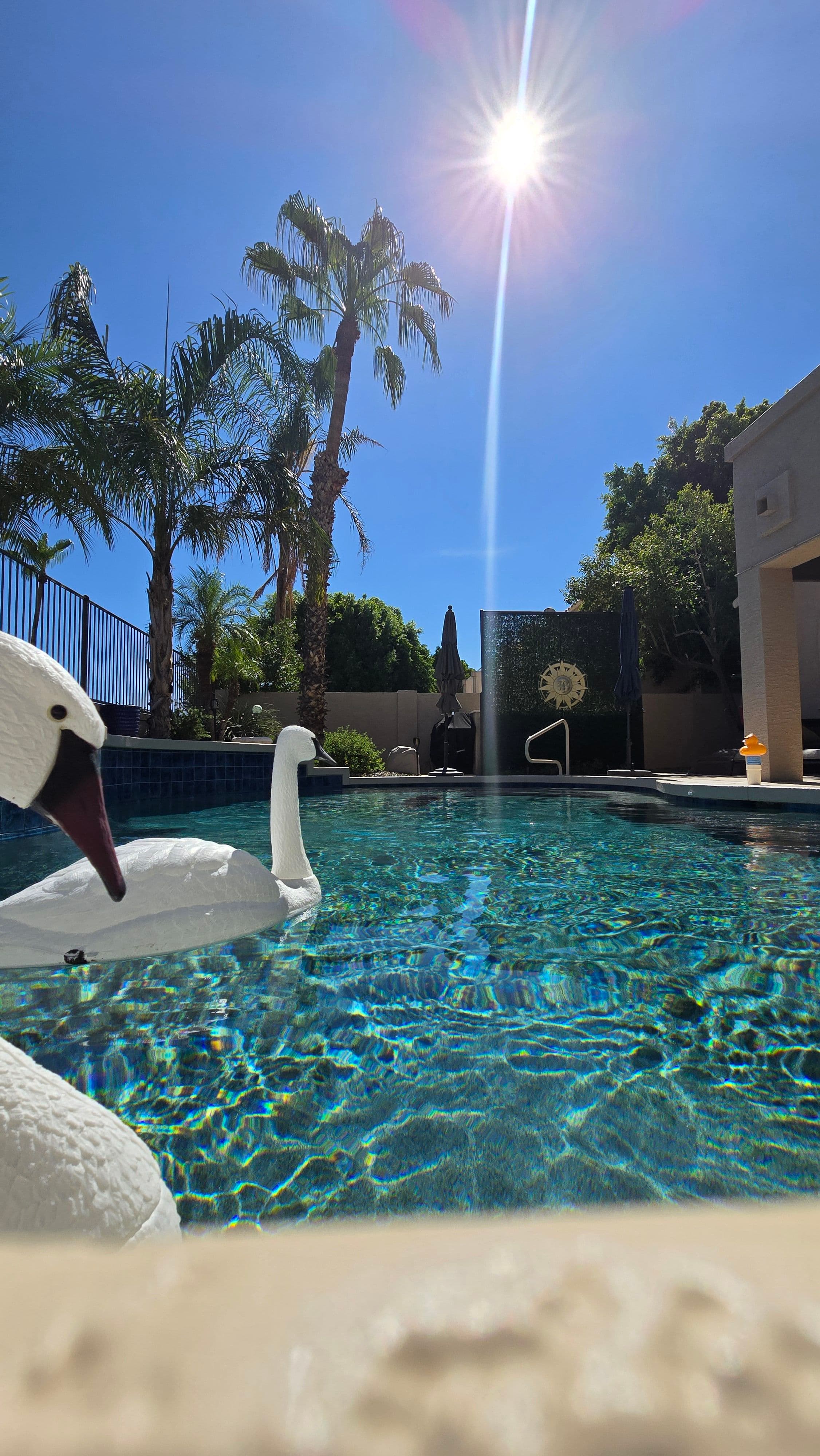 Project Weekly Pool Service Keeping Arrowhead Lakes Pools Swim-Ready image