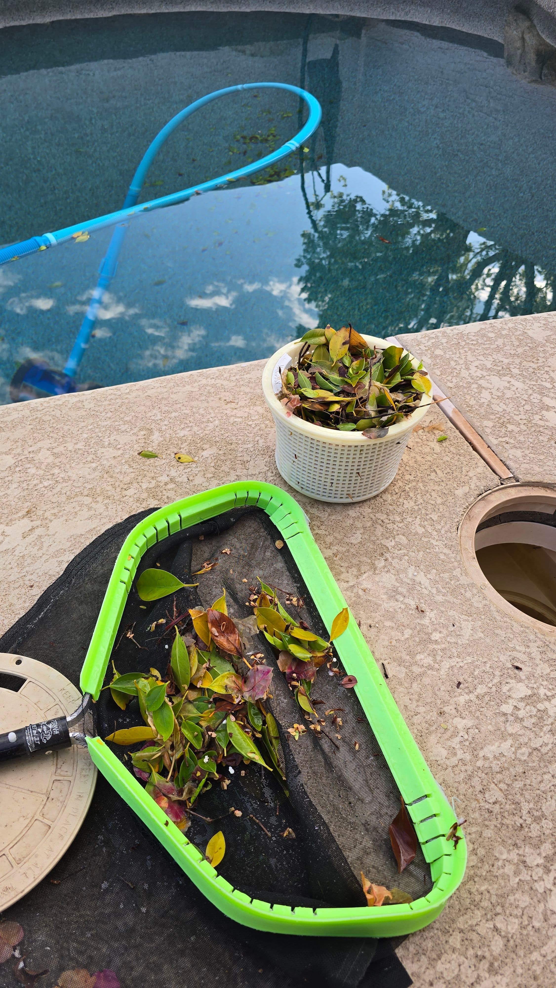Project Storm Debris Wrecks More Than Just Your Pool Surface image