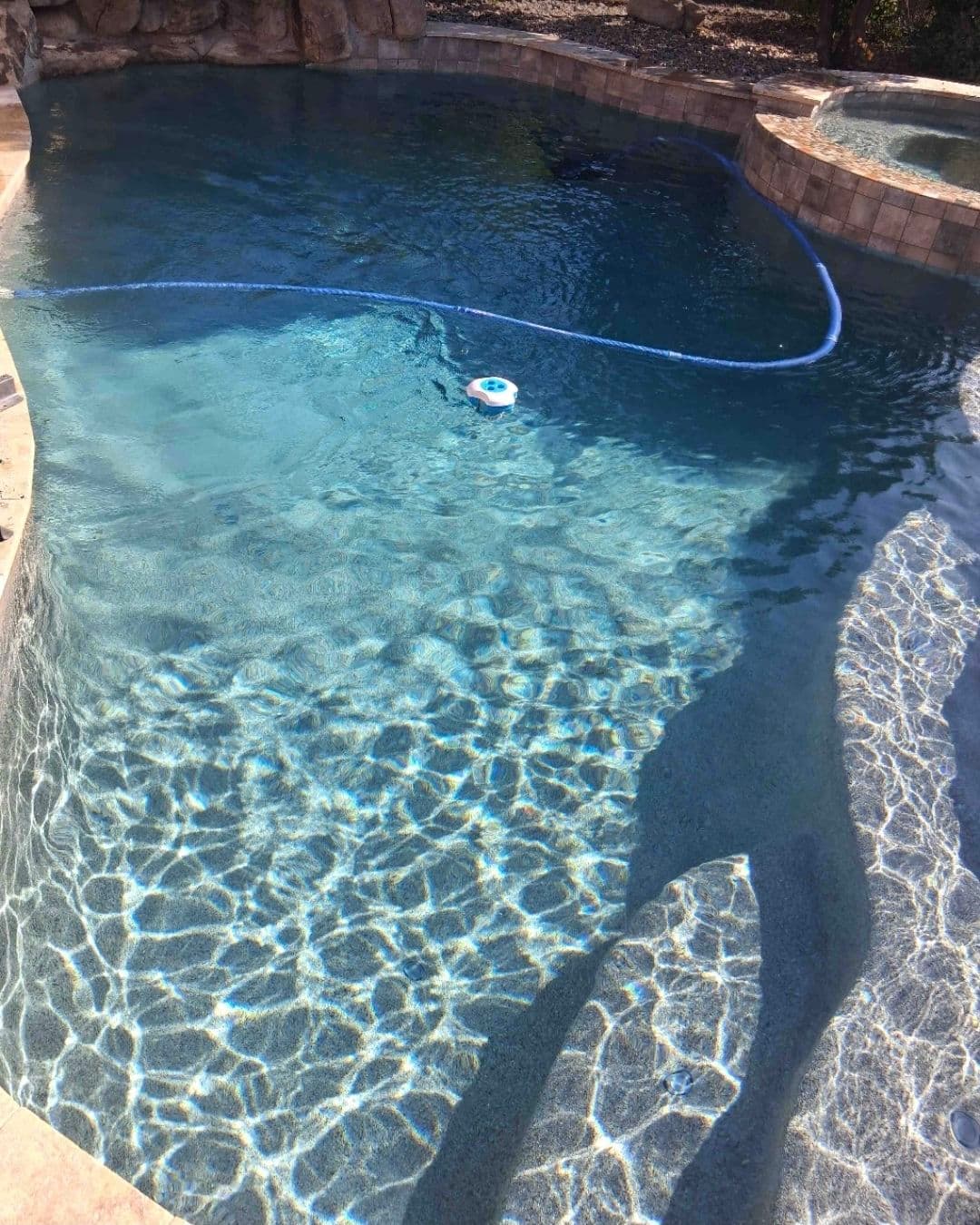 Project Keeping Pools in Glendale and Peoria Clean and Swim-Ready image