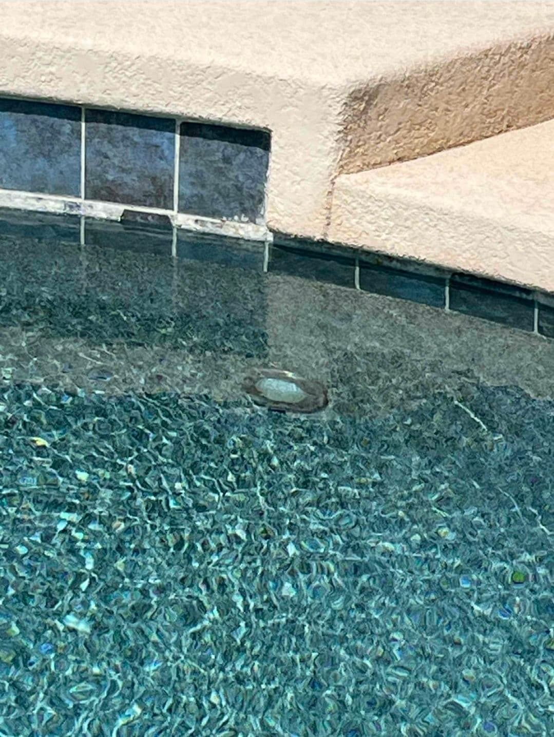 Project Tile Cleaning and Acid Wash Leaves Glendale Pool Sparkling image