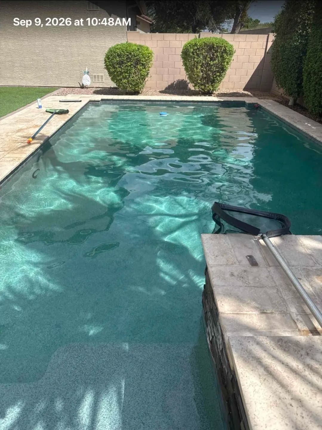 Pool and Spa Service Done Right in Surprise AZ image