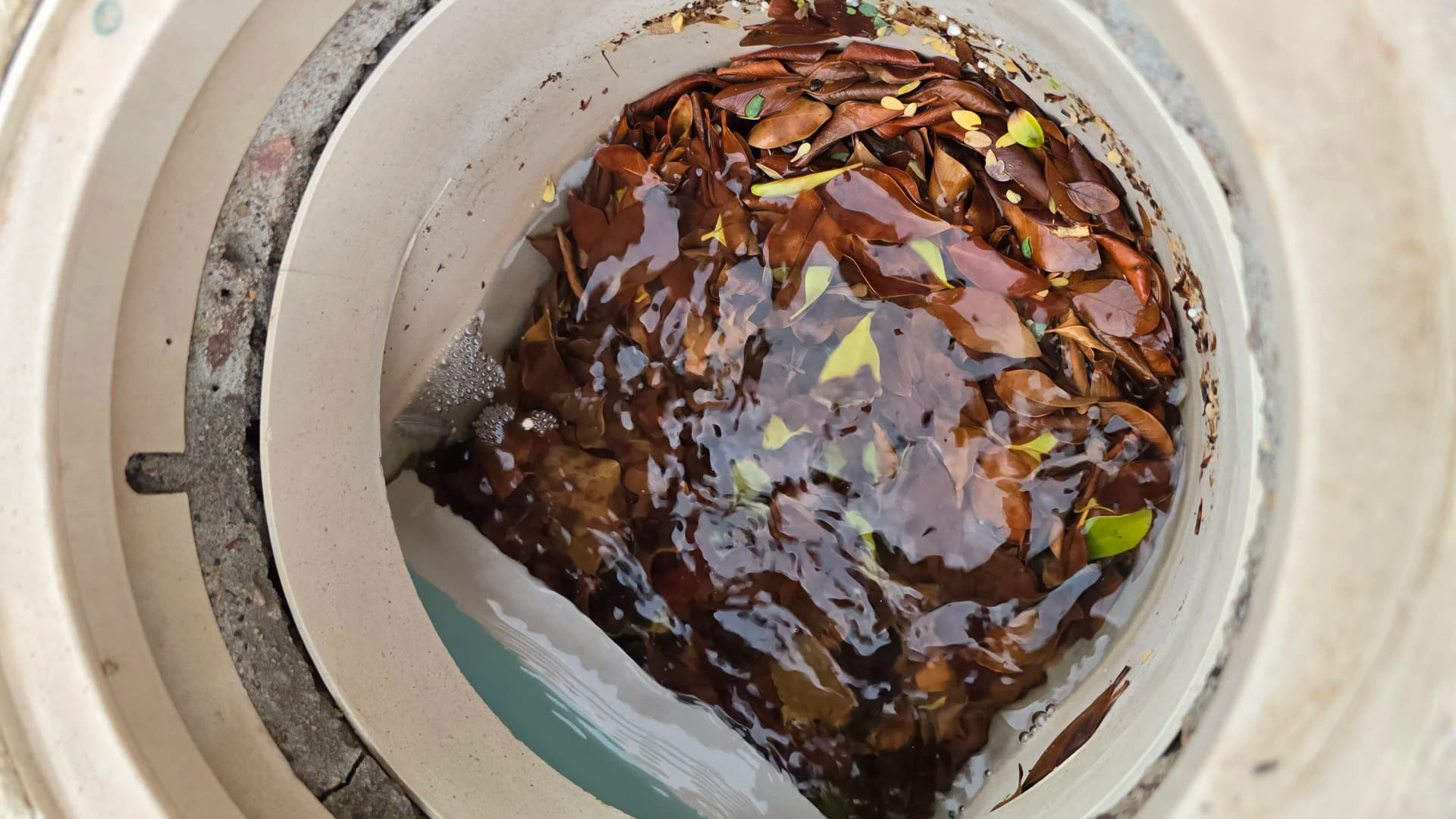 What a Storm Does to Your Pool Skimmer Basket image