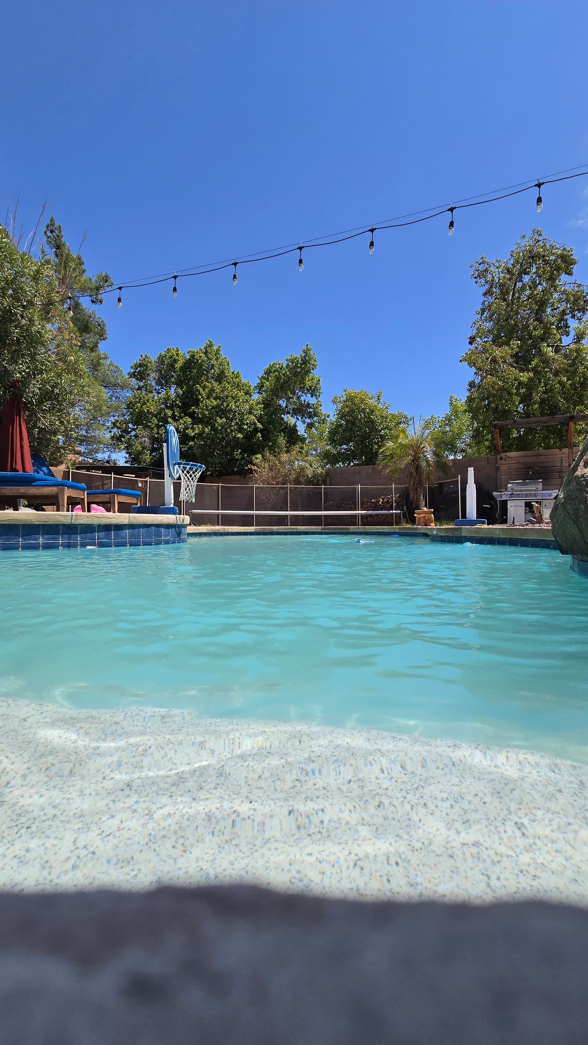 Gallery photos for Storm Debris Cleanup That Gets Your Pool Swim-Ready Fast: Image #1