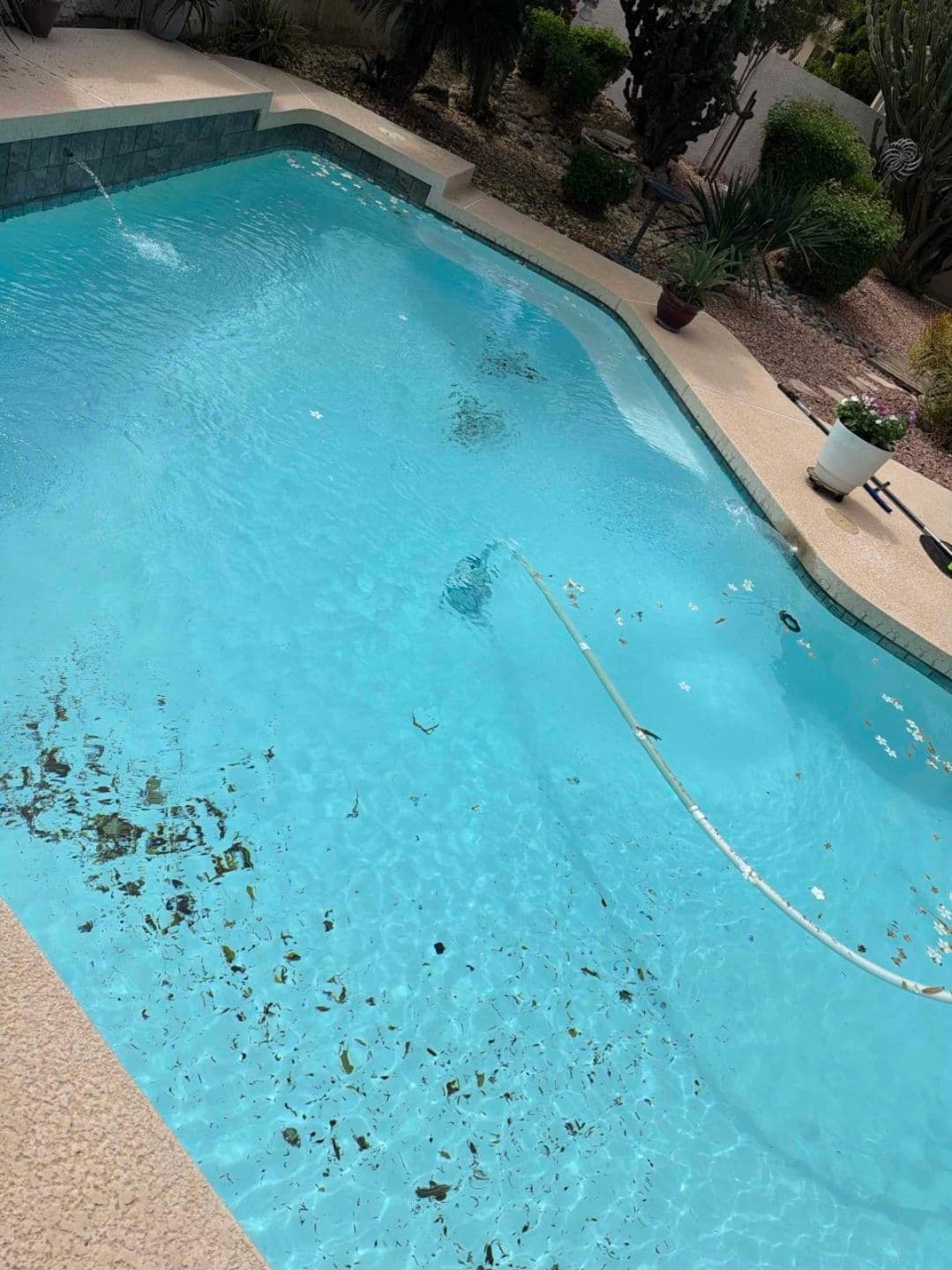 Pool Perfection Achieved with Skimming and Vacuuming image