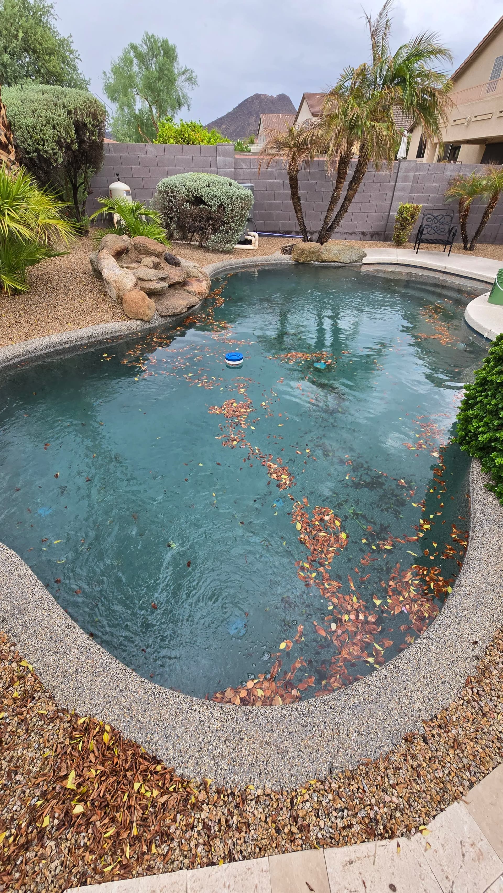 Gallery photos for What a Storm Does to Your Pool Skimmer Basket: Image #1