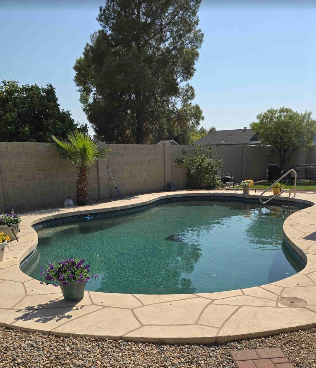 Gallery photos for New Pool Pump and Filter Setup That Actually Keeps Up: Image #1